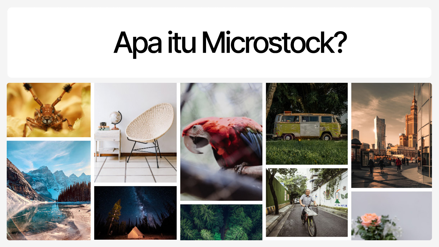 Apa Itu Microstock? Panduan Lengkap untuk Pemula Indonesia